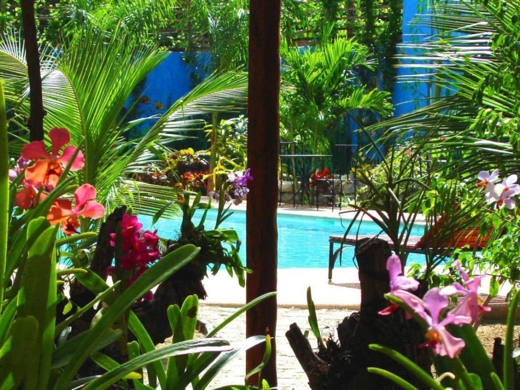 Alta Cebu Resort المظهر الخارجي الصورة