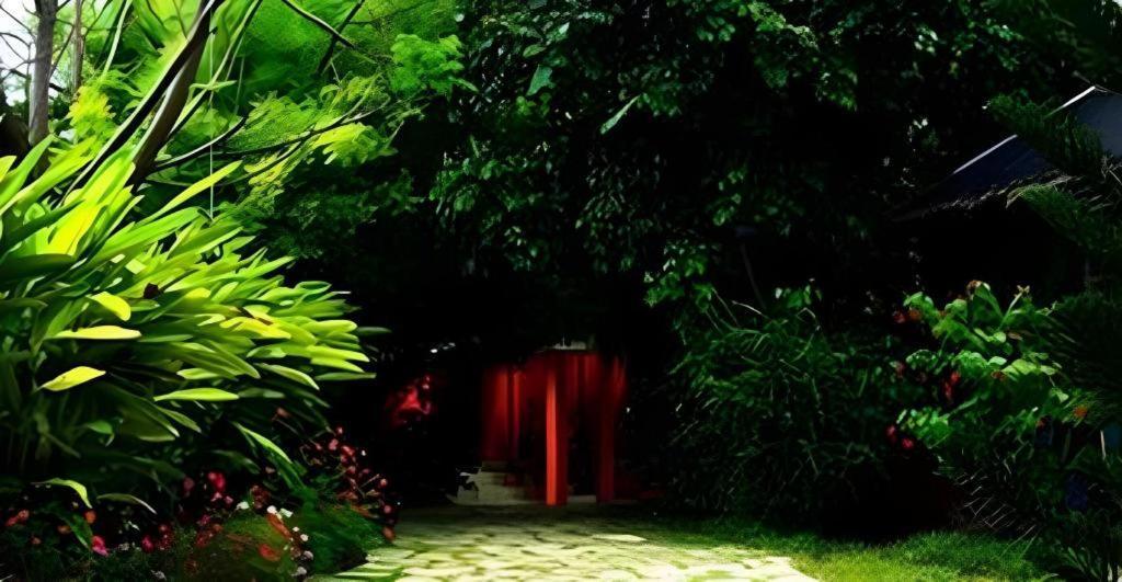Alta Cebu Resort المظهر الخارجي الصورة